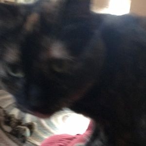 Meet your Posher, Terri